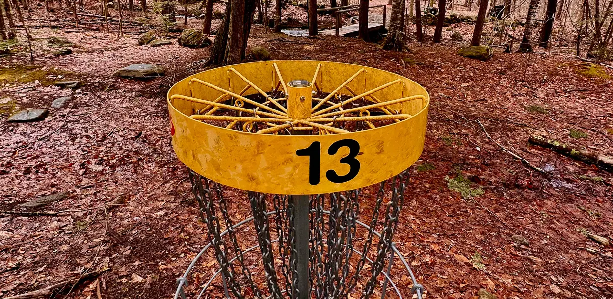 Disc Golf Pro Shop